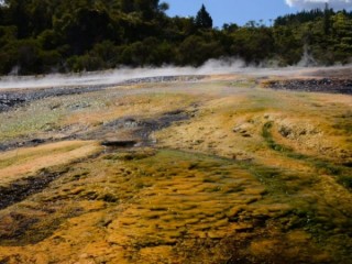 Image of steam rising from the geothermal field at Orakei Korako Geothermal Attraction, nestled between Taupo and Rotorua