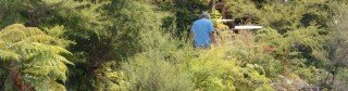 Visitors enjoying native bush walks at Orakei Korako