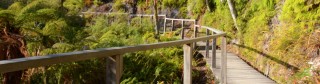 Image of a well-kept walkway at Orakei Korako Geothermal Attraction, nestled between Rotorua & Taupo