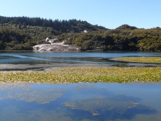 Looking across to the silica terraces