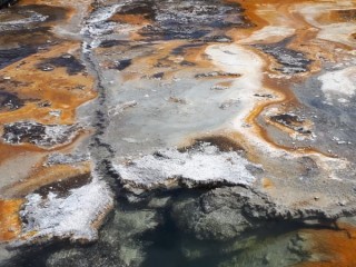 Microbial Mats at Orakei Korako