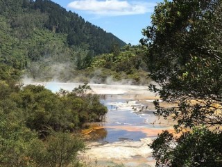 Orakei Korako Geothermal Park surrounded by natural bush