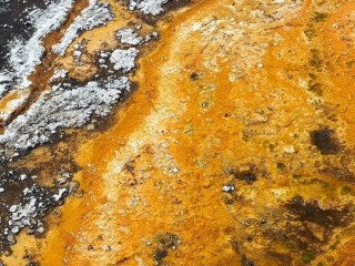 Orange Microbial Mats at Orakei Korako