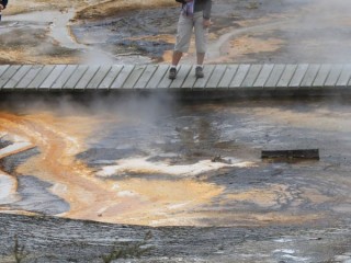 Visitors enjoying the thermal wonderland of Orakei Korako