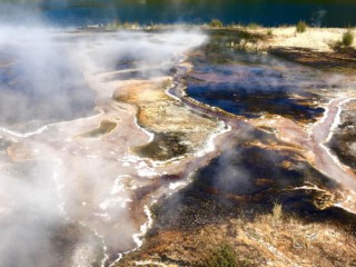 Microbial Mats