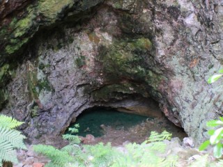 Image of the Ruatapu Cave at Orakei Korako - Taupo / Rotorua Geothermal Attraction